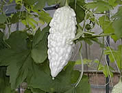 ���S�[��